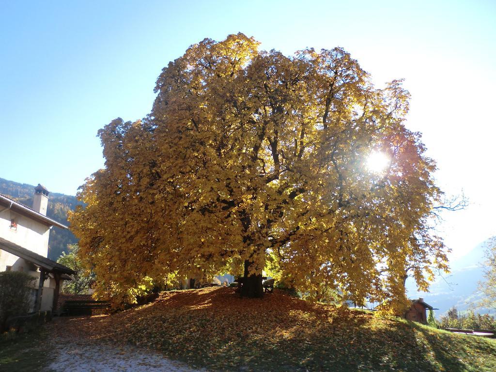 Unterfinser Daire Laion Dış mekan fotoğraf